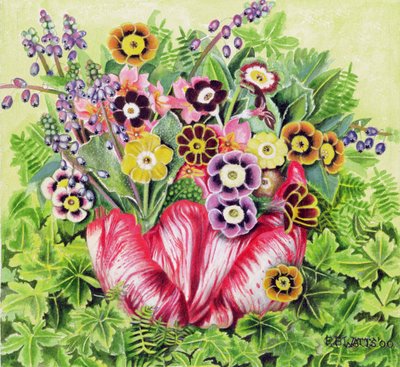Auriculas, 2000 by E.B. Watts