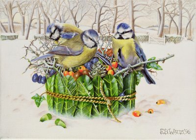 Blue Tits in Leaf Nest, 1996 by E.B. Watts