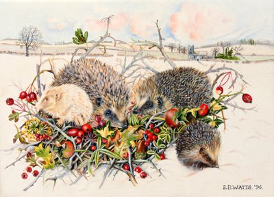 Hedgehogs in Hedgerow Basket, 1996 by E.B. Watts