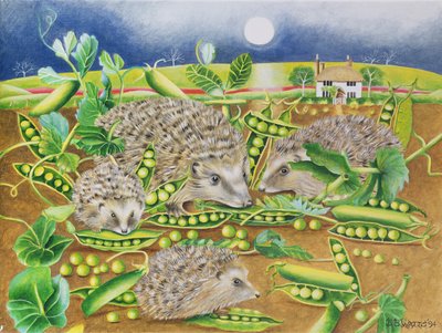 Hedgehogs with Peas beside a Poppy field at night, 1994 by E.B. Watts