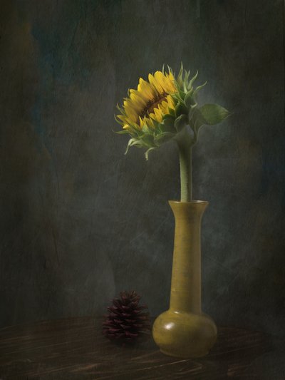 Rustic Sunflower Still Life by EDUARDO LLERANDI