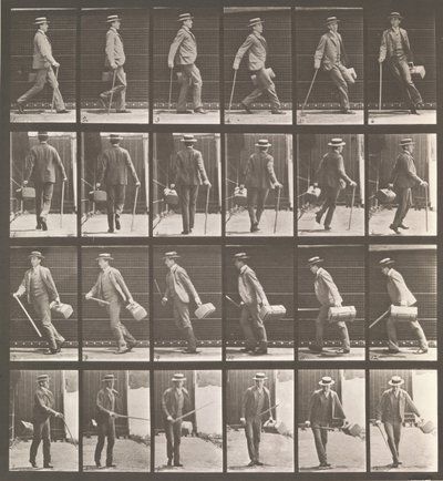 Animal Locomotion. An Electro-Photographic Investigation of Animal Movements, 1880s by Eadweard Muybridge