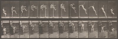 Animal Locomotion. An Electro-Photographic Investigation of Consecutive Phases of Animal by Eadweard Muybridge