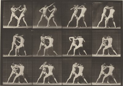 Plate Number 340. Boxing, open hand shoes by Eadweard Muybridge