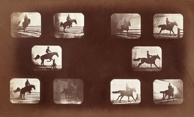 Animal Locomotion (Man on Horse Over Hurdles) by Eadweard Muybridge