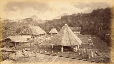 Hacienda William Nelson, San Isidro, Guatemala by Eadweard Muybridge
