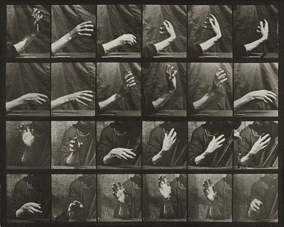Movement of the Hand; Beating Time by Eadweard Muybridge