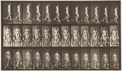 Plate 121. Descending Incline, Bucket of Water in Each Hand by Eadweard Muybridge