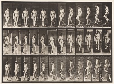 Descending Stairs Turning; Pitcher in Left Hand by Eadweard Muybridge