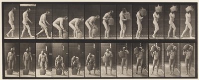 Plate 218. Stooping, and Lifting Full Demijohn to Shoulder by Eadweard Muybridge