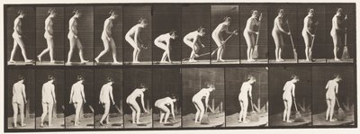 Plate 219. Stooping and Lifting Broom and Sweeping by Eadweard Muybridge