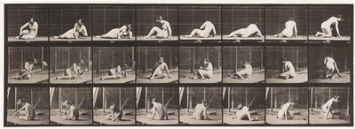 Plate 266. Turning and Changing Position While Still on the Ground by Eadweard Muybridge