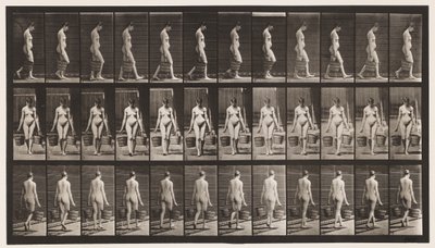 Plate 32. Walking, Carrying Bucket of Water in Each Hand by Eadweard Muybridge