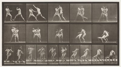 Boxing; Stop for Cross-Buttocks by Eadweard Muybridge
