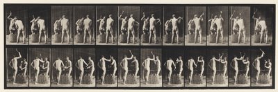 Plate 375. Blacksmiths, Two Models, Hammering on Anvil by Eadweard Muybridge