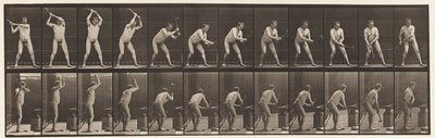 Plate 376. Blacksmith, Hammering on Anvil, Two Hands by Eadweard Muybridge