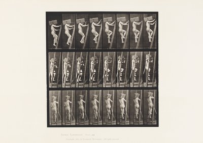 Carrying Hand of Bricks up a Ladder by Eadweard Muybridge