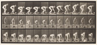 Plate 442. Stooping, and Rolling A Stone on the Ground by Eadweard Muybridge