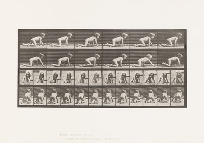 Child, Crawling on Hands and Knees by Eadweard Muybridge