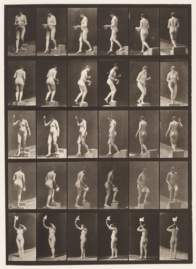 Descending Step; Ascending Step by Eadweard Muybridge