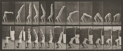 Acrobat, Vertical 