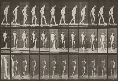 Plate Number 559. Partial Paraplegia, Walking with Cane by Eadweard Muybridge