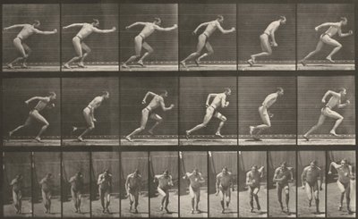 Plate Number 59. Starting for a Run by Eadweard Muybridge