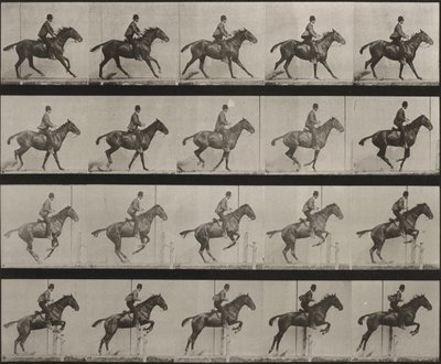 Plate Number 636. "Daisy" Jumping a Hurdle, Saddled, Preparing for the Leap by Eadweard Muybridge