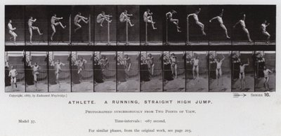 The Human Figure in Motion: Athlete, a running, straight high jump by Eadweard Muybridge