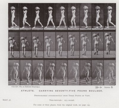 The Human Figure in Motion: Athlete, carrying seventy-five pound boulder by Eadweard Muybridge