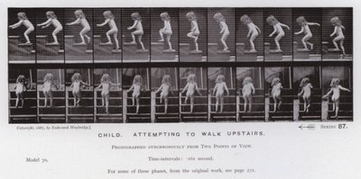 The Human Figure in Motion: Child, attempting to walk upstairs by Eadweard Muybridge
