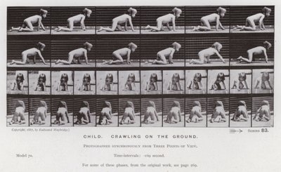 The Human Figure in Motion: Child, crawling on the ground by Eadweard Muybridge
