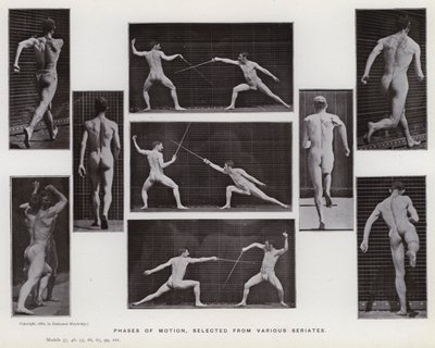 The Human Figure in Motion: Phases of motion, selected from various series by Eadweard Muybridge