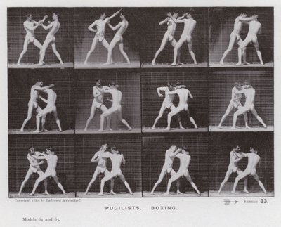 The Human Figure in Motion: Pugilists, Boxing by Eadweard Muybridge