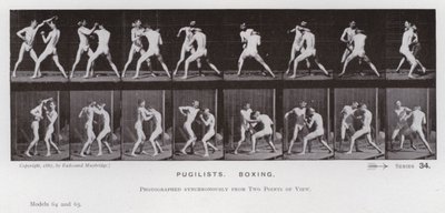 The Human Figure in Motion: Pugilists, Boxing by Eadweard Muybridge