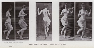 The Human Figure in Motion: Selected phases from series 55 by Eadweard Muybridge