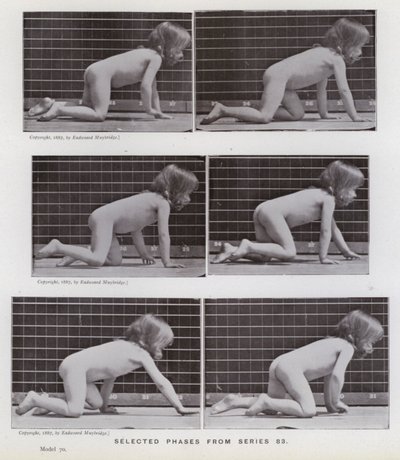 The Human Figure in Motion: Selected phases from series 83 by Eadweard Muybridge