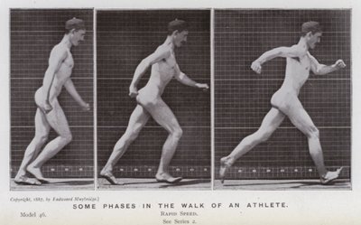 The Human Figure in Motion: Some phases in the walk of an athlete by Eadweard Muybridge