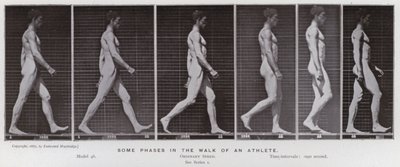The Human Figure in Motion: Some phases in the walk of an athlete by Eadweard Muybridge