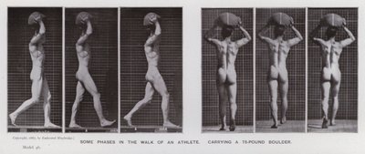 The Human Figure in Motion: Some phases in the walk of an athlete, carrying a 75-pound boulder by Eadweard Muybridge