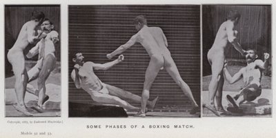 The Human Figure in Motion: Some phases of a boxing match by Eadweard Muybridge