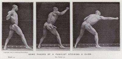 The Human Figure in Motion: Some phases of a pugilist striking a blow by Eadweard Muybridge