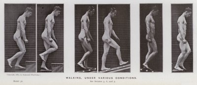The Human Figure in Motion: Walking, under various conditions by Eadweard Muybridge