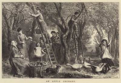 An Apple Orchard (engraving) by Ebenezer Newman Downard