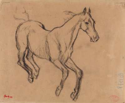 Horse Galloping by Edgar Degas