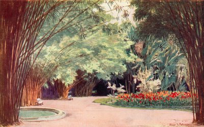 A Bamboo Grove, Botanical Gardens by Edgar L. Pattison