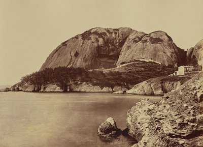 La Ciotat. Eagle