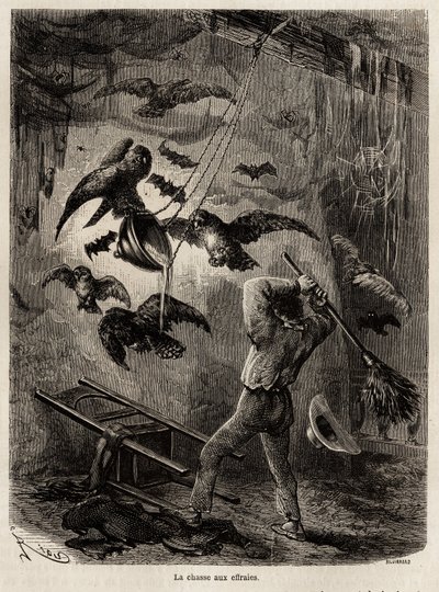 Hunting for owls in the church of Sarayacu by Edouard Riou