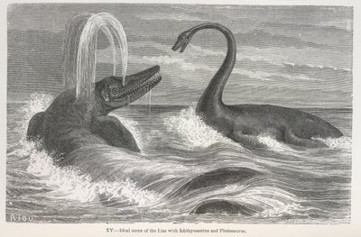 Ideal Scene of the Lias with Ichthyosaurus and Plesiosaurus by Edouard Riou