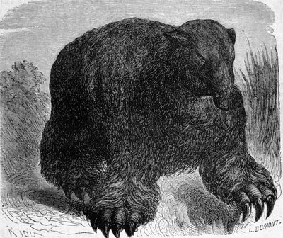 Prehistory: representation of a megatherium (earthly lazy of the elephant family). Engraving by Edouard Riou (1833-1900) from the end of the 19th century by Edouard Riou